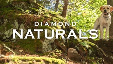 Is Diamond Naturals Salmon and Potato Grain-Free